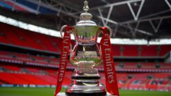 emirates fa cup on stand on pitch - WTX News Breaking News, fashion & Culture from around the World - Daily News Briefings -Finance, Business, Politics & Sports News