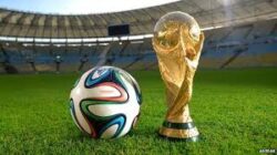 Fifa to expand the World Cup to 48 teams after vote in Zurich