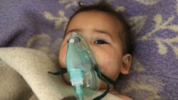 Chemical attack was fabricated- Assad