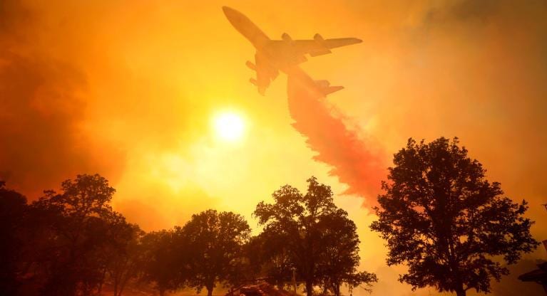 Scorching heat and dry conditions have led to several of the worst wildfires California has ever seen