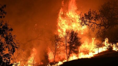 Trump gets a scorching response from fire hit Californians