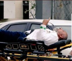 The hate triggers which led to the New Zealand mosque massacres