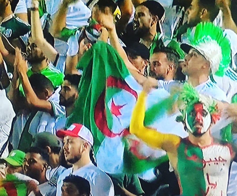 Algerians have gone missing after winning the African cup of nations