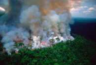 brazil sends planes and troops to fight Amazon fires