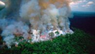 brazil sends planes and troops to fight Amazon fires