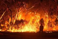 Aust PM slams Gretas bushfire comments