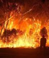 Aust PM slams Gretas bushfire comments