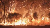 aust bushfires costs tourism 1billion