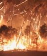 aust bushfires costs tourism 1billion