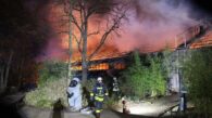 Woman and 2 daughters arrested for German Zoo fire