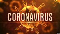 Coronavirus: A guide to everything you need to know