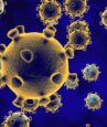 coronavirus spreads - WTX News Breaking News, fashion & Culture from around the World - Daily News Briefings -Finance, Business, Politics & Sports News