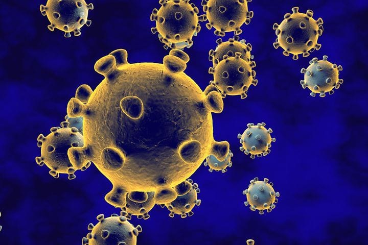 Daily News Briefing - Global coronavirus updates