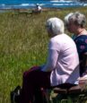 womens life expectancy falls in englands poorest areas