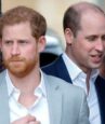 Harry and William relationship worse than ever