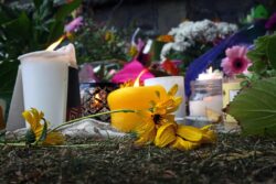 tributes left outside NZ mosques on first anniversary of shooting massacre