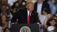 trump says back to work for us people despite WHO warnings