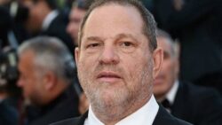 Weinstein gets 23 years