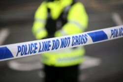 Two children stabbed to death at home in East London