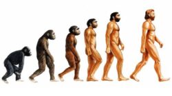 A Guide to Darwin's theory of Evolution by Natural Selection