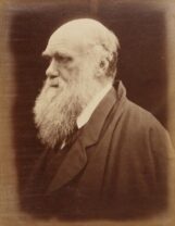 Charles Darwin - English philosopher - The Naturalist who pioneered the Theory of Evolution in the 19th century.