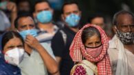 Almost a quarter of New Dehli has coronavirus, says study