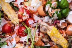 Daily News Briefing: UK sees 30% more food waste as restrictions ease