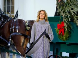 FLOTUS Roasted Over White House Christmas Tree