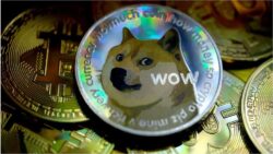 Dogecoin surges with the best example of influencer marketing by Elon Musk