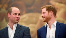 Prince William and Prince Harry ‘rebuilding relationship’