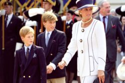 Diana: BBC contributed to ‘fear and paranoia’ – William & Harry speak out