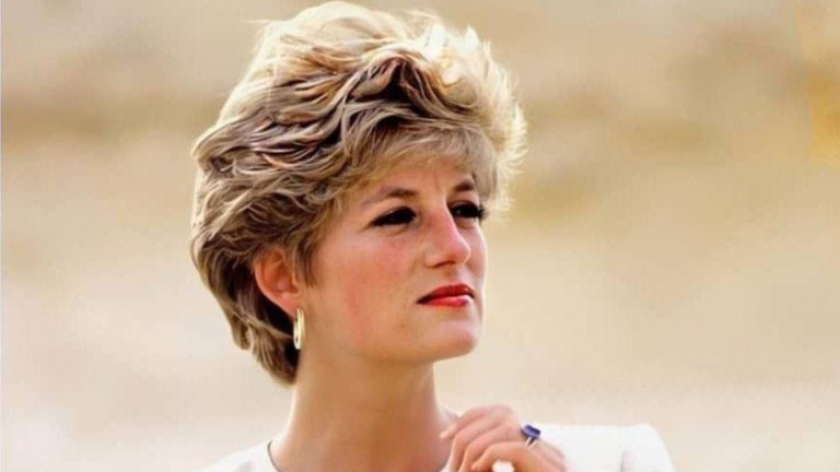 Princess Diana Martin Bashir interview Martin Bashir diana interview BBC panorama