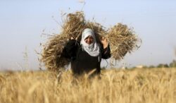 Israel to Allow Gaza ‘Limited’ Export of Farm Produce