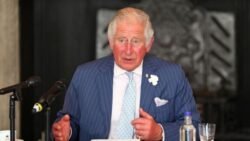 Prince Charles warned Brits ‘will not stomach’ expensive coronation when he becomes King