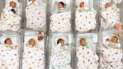 German birth rate booms after Covid lockdown