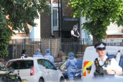 Teenager shot in head in north London dies as police launch murder probe