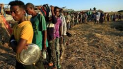 More than 5m people in Tigray need emergency food aid