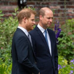 Unveiling of Diana Statue Reunites William and Harry