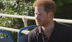 Prince Harry faced calls to be stripped of his HRH style