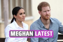 analyst claims, Prince Harry is “torn” between Meghan Markle and the Royal Family after “sacrificing everything” for his wife.