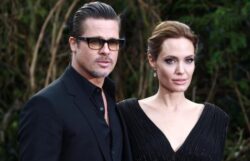 Angelina Jolie seeks to sell share of Nouvel LLC wine business