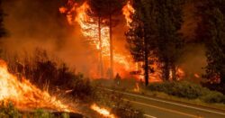 Canada’s BC declares state of emergency as wildfires surge