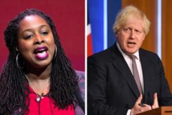 Labour MP Dawn Butler praised for ‘resilience’ after saying Boris Johnson lies