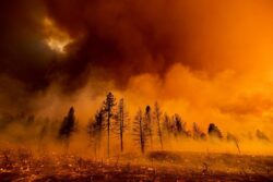 Hot winds fuel major Oregon wildfire as evacuations continue