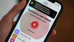 Pingdemic: 689,313 alerts sent from NHS app in a week