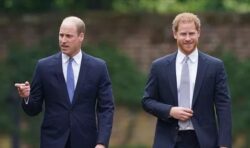 Harry ‘turned feet’ to face William at the unveiling of the Diana statue, William ‘didn’t respond.’