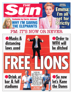 The Sun – Free Lions