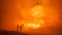Apocalyptic fires tear apart parts of Spain as country experiences near-record heat – world news