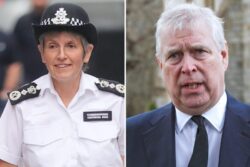 Prince Andrew ‘not above the law’, says Met police – having ‘another look at the material’