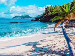 UK Travel News: Caribbean countries at risk of joining red list